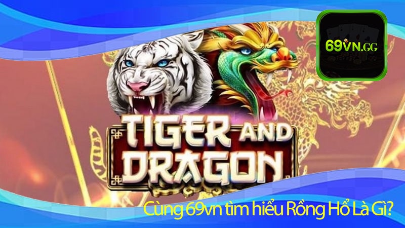 Cùng 69vn tìm hiểu Rồng Hổ Là Gì?