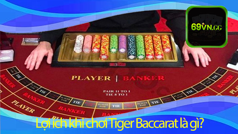 Lợi ích khi chơi Tiger Baccarat là gì? Tại nhà cái 69vn