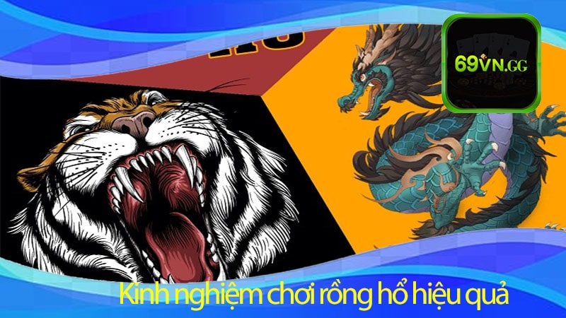 Kinh nghiệm chơi rồng hổ hiệu quả 69vn muốn khuyên anh em